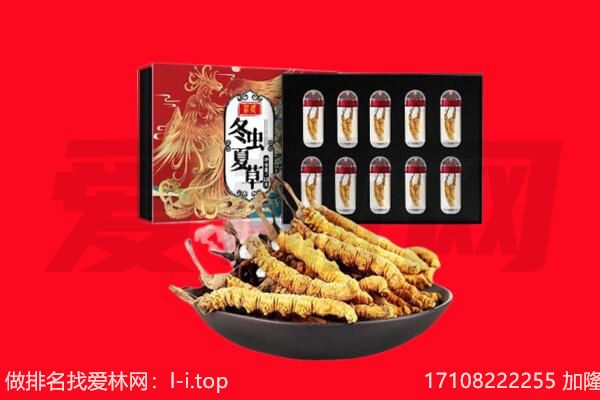 肃宁县回收虫草.jpg